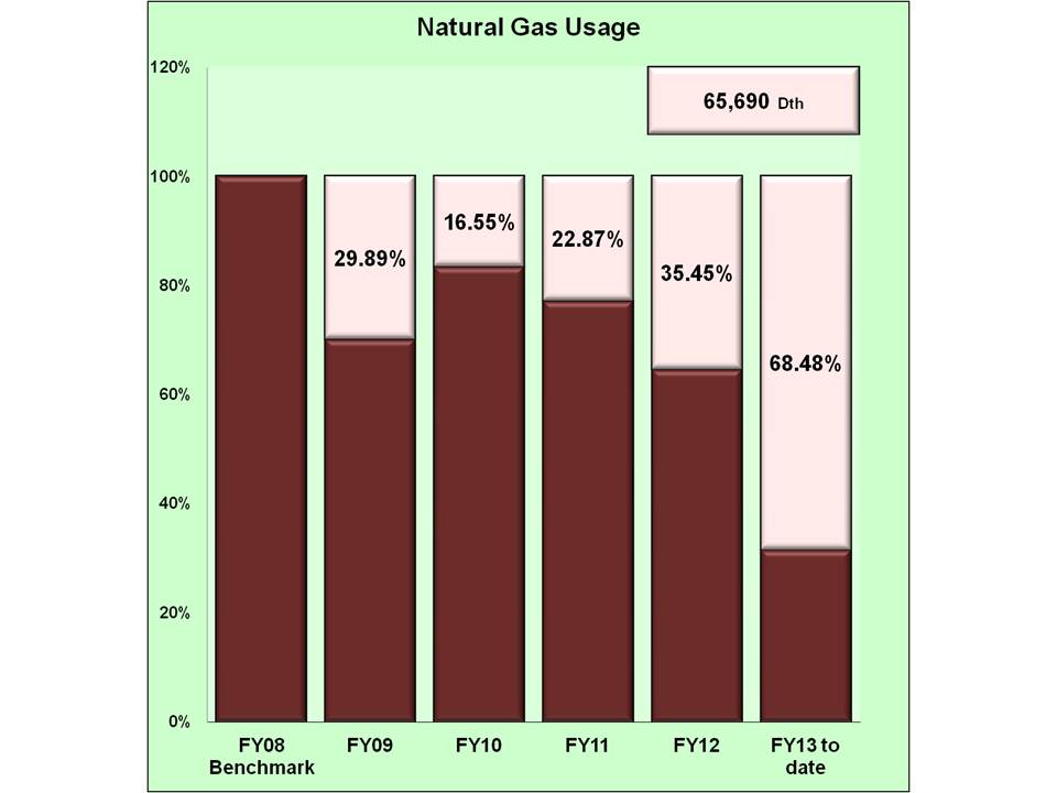 Natural Gas usage 1st qurter Fiscal Year 2013